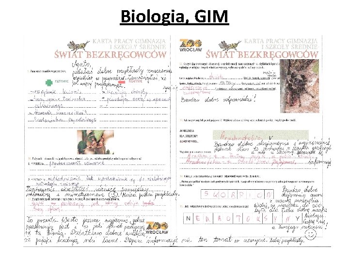 Biologia, GIM 