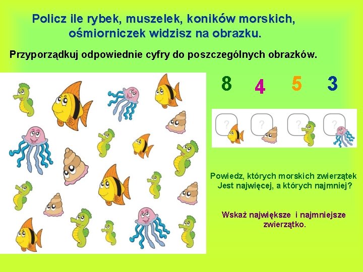 Policz ile rybek, muszelek, koników morskich, ośmiorniczek widzisz na obrazku. Przyporządkuj odpowiednie cyfry do