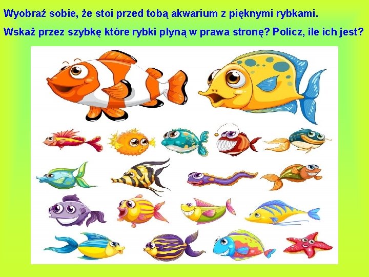 Wyobraź sobie, że stoi przed tobą akwarium z pięknymi rybkami. Wskaż przez szybkę które