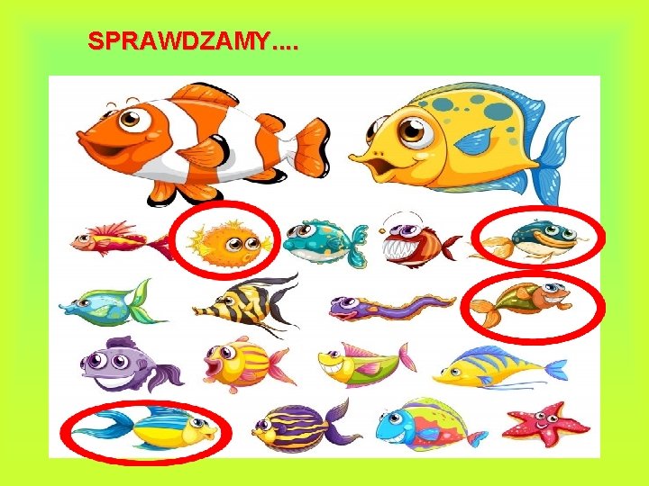 SPRAWDZAMY. . 