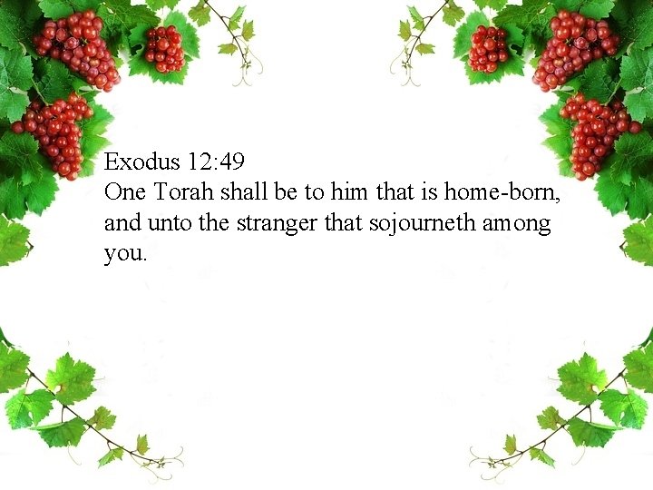 Exodus 12: 49 One Torah shall be to him that is home-born, and unto