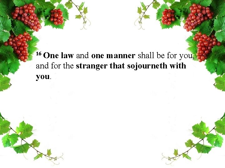 16 One law and one manner shall be for you, and for the stranger