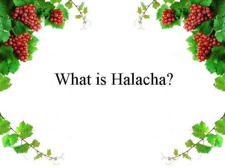 What is Halacha? 