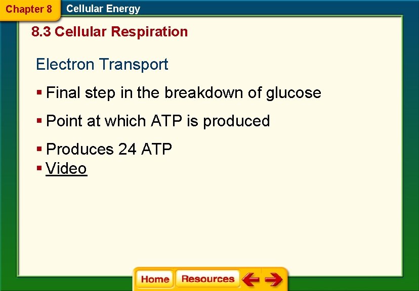 Chapter 8 Cellular Energy 8. 3 Cellular Respiration Electron Transport § Final step in