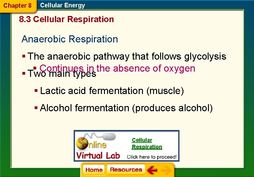 Chapter 8 Cellular Energy Section 2 Photosynthesis Section