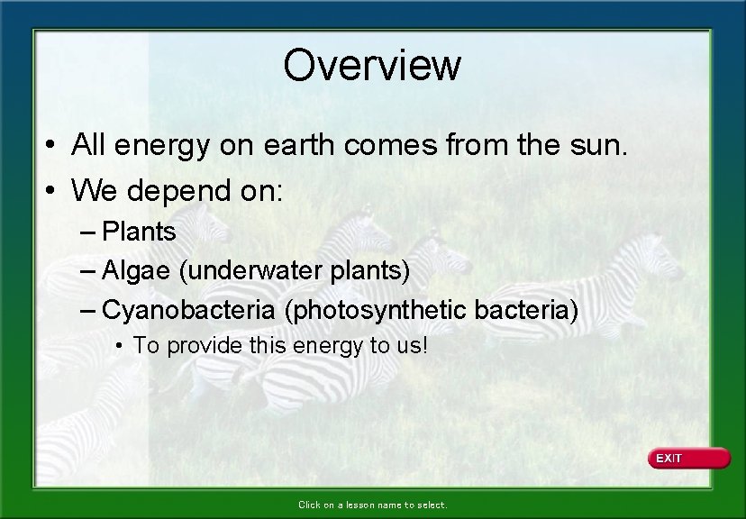 Overview • All energy on earth comes from the sun. • We depend on: