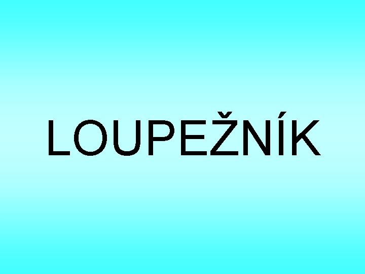 LOUPEŽNÍK 