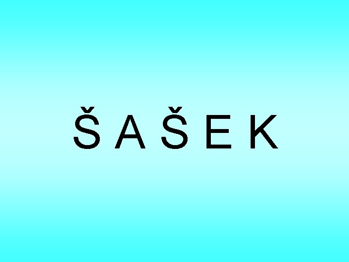 ŠAŠEK 