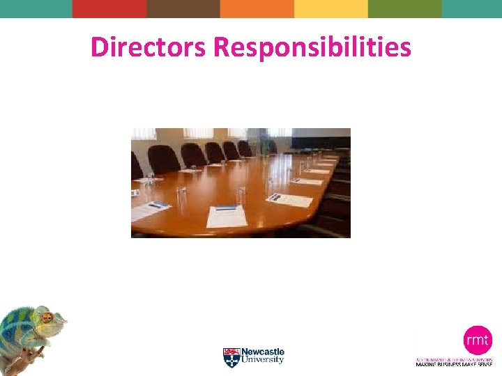 Directors Responsibilities 