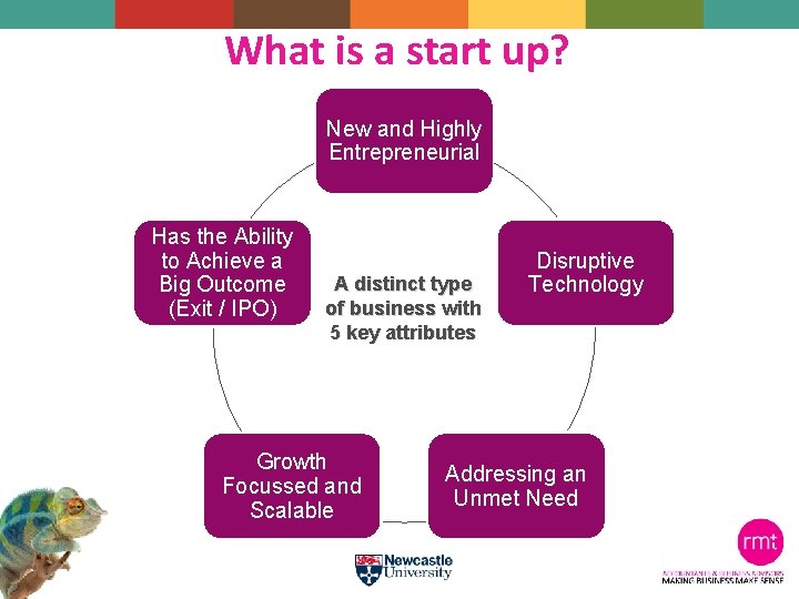 What is a start up? New and Highly Entrepreneurial Has the Ability to Achieve