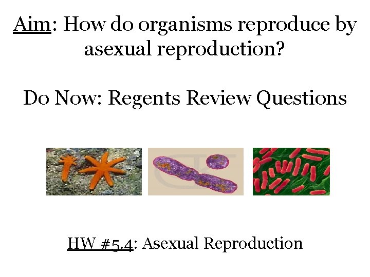 Aim: How do organisms reproduce by asexual reproduction? Do Now: Regents Review Questions HW