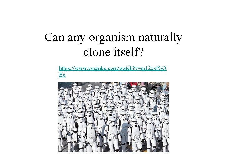 Can any organism naturally clone itself? https: //www. youtube. com/watch? v=m 12 xsf 5