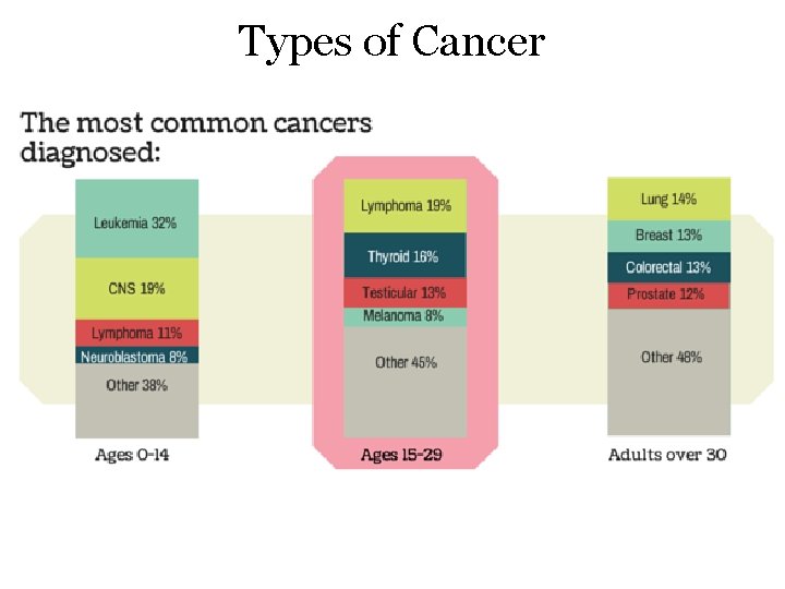 Types of Cancer 