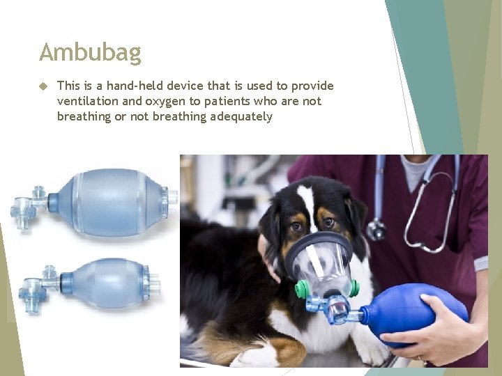 91 Top Ambu bag veterinary use for Trend in 2021