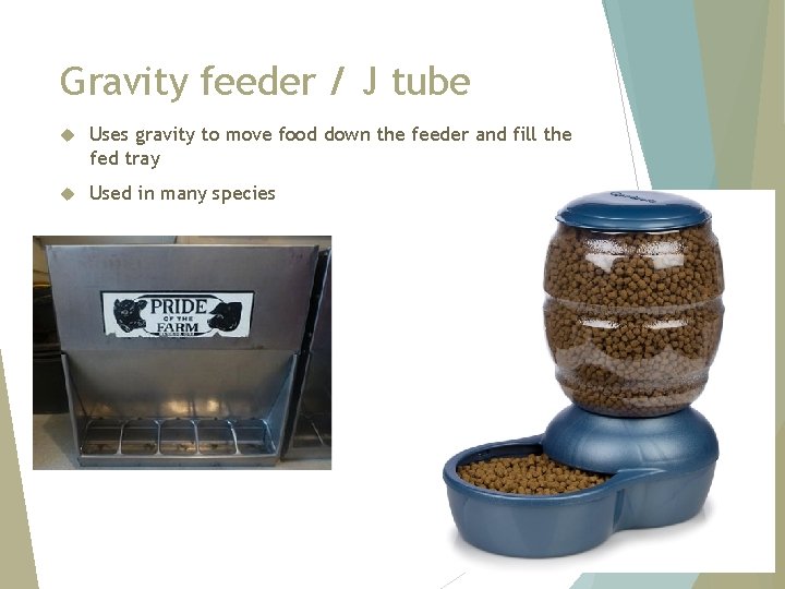 Gravity feeder / J tube Uses gravity to move food down the feeder and