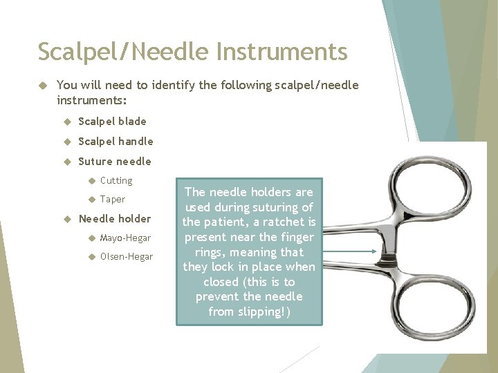 Scalpel/Needle Instruments You will need to identify the following scalpel/needle instruments: Scalpel blade Scalpel