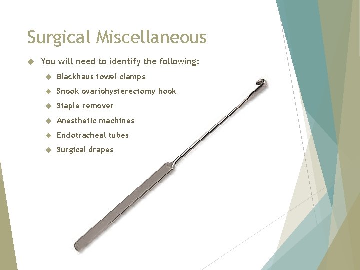 Surgical Miscellaneous You will need to identify the following: Blackhaus towel clamps Snook ovariohysterectomy