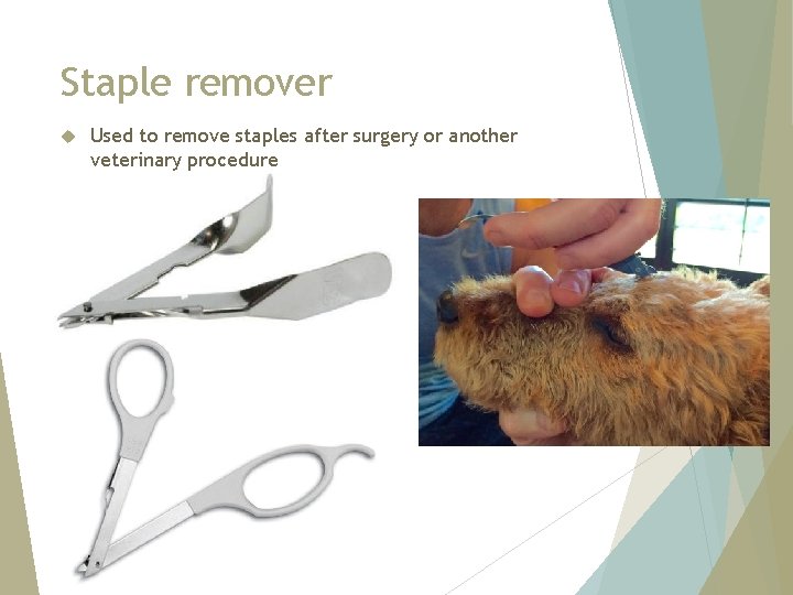 Staple remover Used to remove staples after surgery or another veterinary procedure 