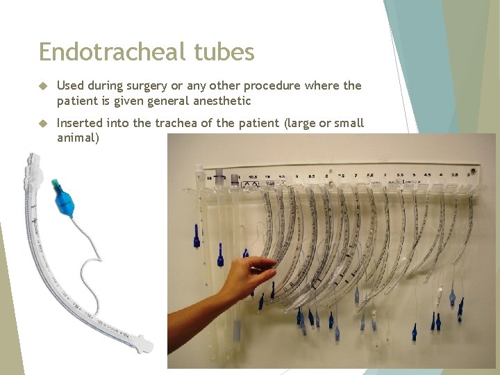 Endotracheal tubes Used during surgery or any other procedure where the patient is given