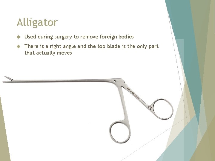 Alligator Used during surgery to remove foreign bodies There is a right angle and