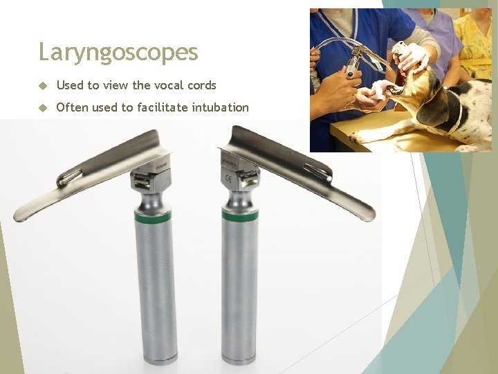 Laryngoscopes Used to view the vocal cords Often used to facilitate intubation 