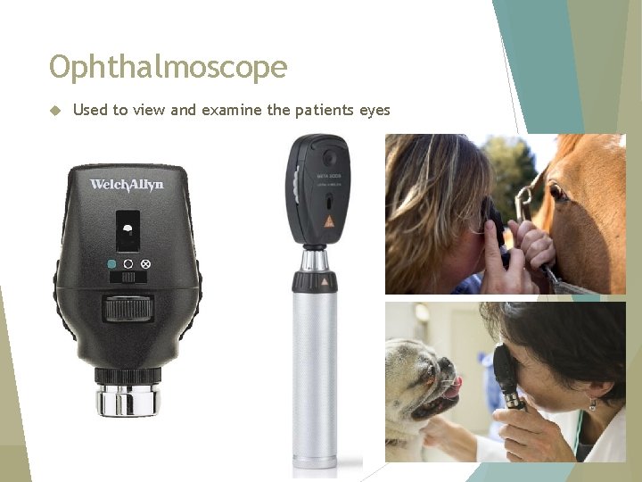Ophthalmoscope Used to view and examine the patients eyes 