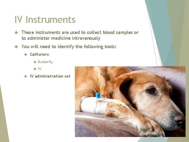 IV Instruments These instruments are used to collect blood samples or to administer medicine