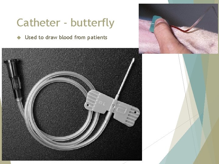 Catheter - butterfly Used to draw blood from patients 