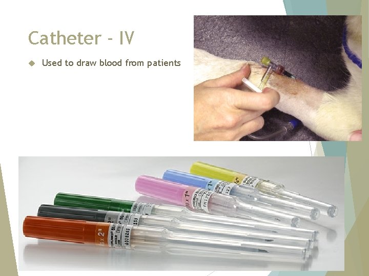Catheter - IV Used to draw blood from patients 