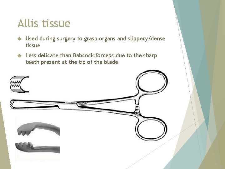 Allis tissue Used during surgery to grasp organs and slippery/dense tissue Less delicate than