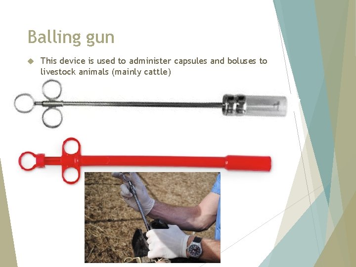 Balling gun This device is used to administer capsules and boluses to livestock animals