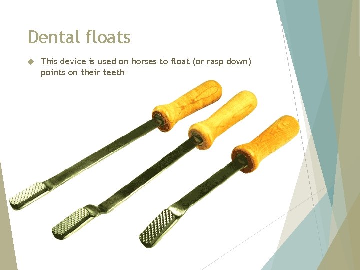 Dental floats This device is used on horses to float (or rasp down) points