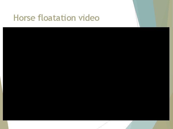 Horse floatation video 