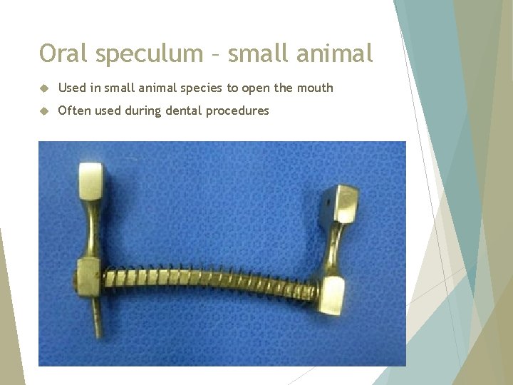 Oral speculum – small animal Used in small animal species to open the mouth