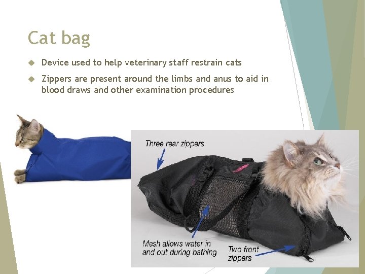 Cat bag Device used to help veterinary staff restrain cats Zippers are present around