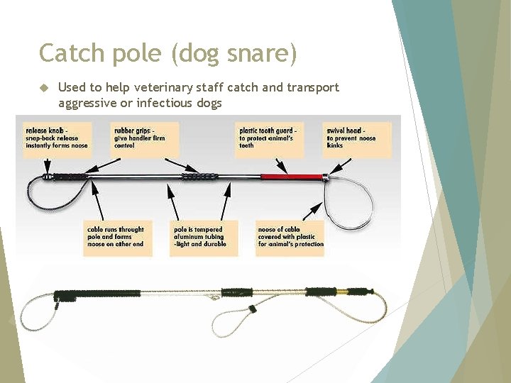 Catch pole (dog snare) Used to help veterinary staff catch and transport aggressive or