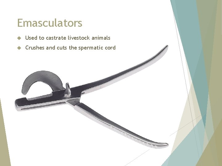 Emasculators Used to castrate livestock animals Crushes and cuts the spermatic cord 