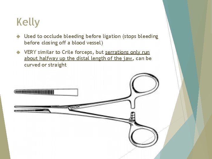 Kelly Used to occlude bleeding before ligation (stops bleeding before closing off a blood
