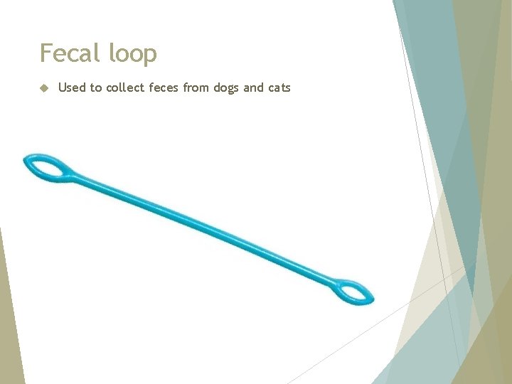 Fecal loop Used to collect feces from dogs and cats 