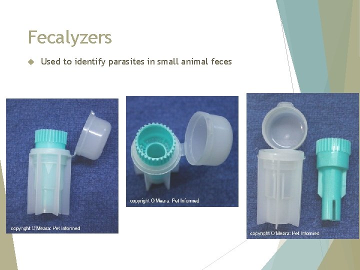 Fecalyzers Used to identify parasites in small animal feces 