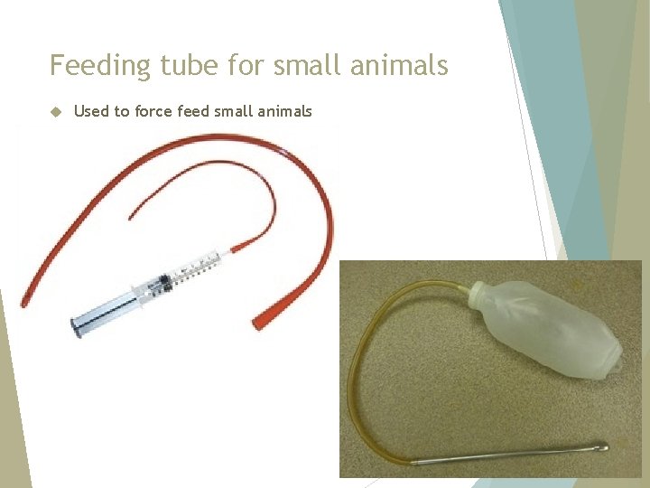 Feeding tube for small animals Used to force feed small animals 