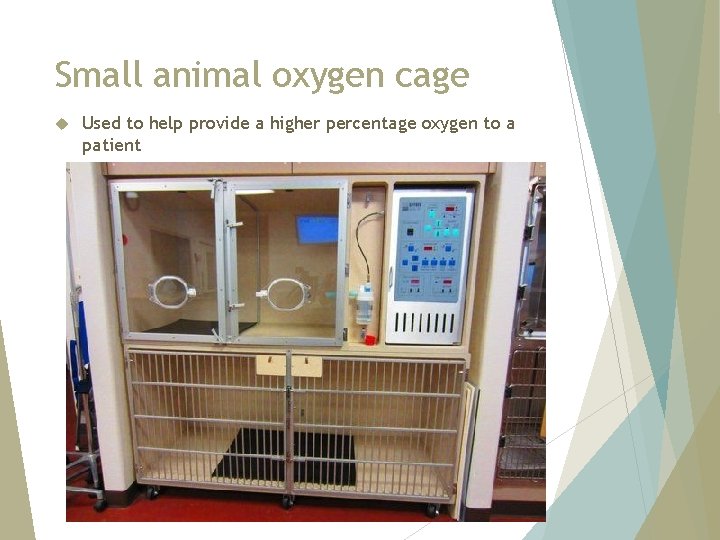 Small animal oxygen cage Used to help provide a higher percentage oxygen to a