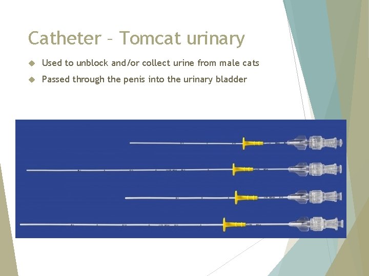 Catheter – Tomcat urinary Used to unblock and/or collect urine from male cats Passed