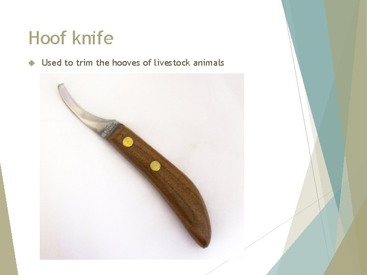 Hoof knife Used to trim the hooves of livestock animals 