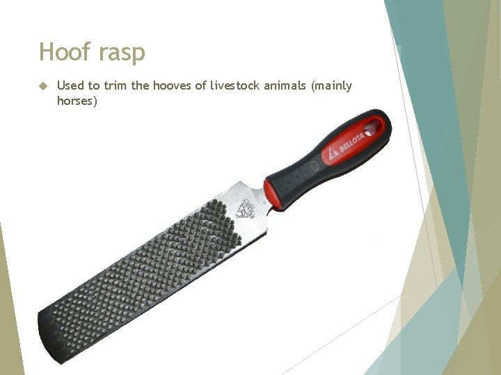 Hoof rasp Used to trim the hooves of livestock animals (mainly horses) 