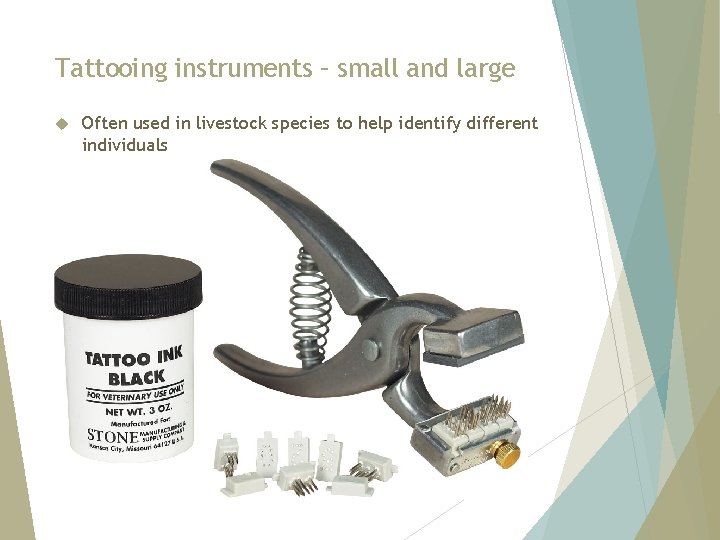 Tattooing instruments – small and large Often used in livestock species to help identify