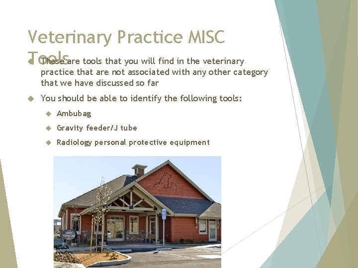 Veterinary Practice MISC These are tools that you will find in the veterinary Tools