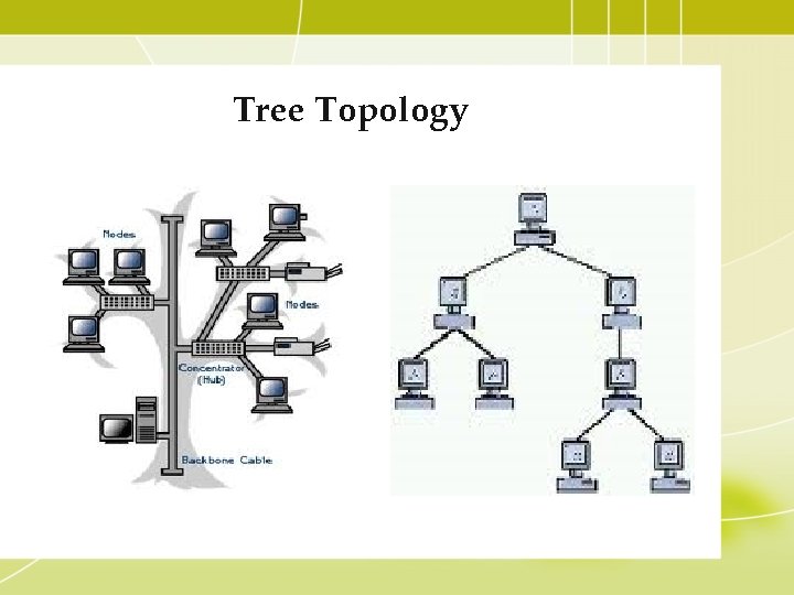 Tree Topology 