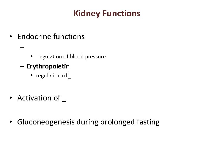 Kidney Functions • Endocrine functions – • regulation of blood pressure – Erythropoietin •