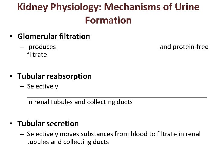 Kidney Physiology: Mechanisms of Urine Formation • Glomerular filtration – produces ______________ and protein-free